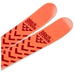 Ski Black Crows Camox Birdie Jr -Matériel De Ski Soldes 4c424334631589ce807f096d90d9bfbb1b9ffbe4 H23BLACSKI253651 10
